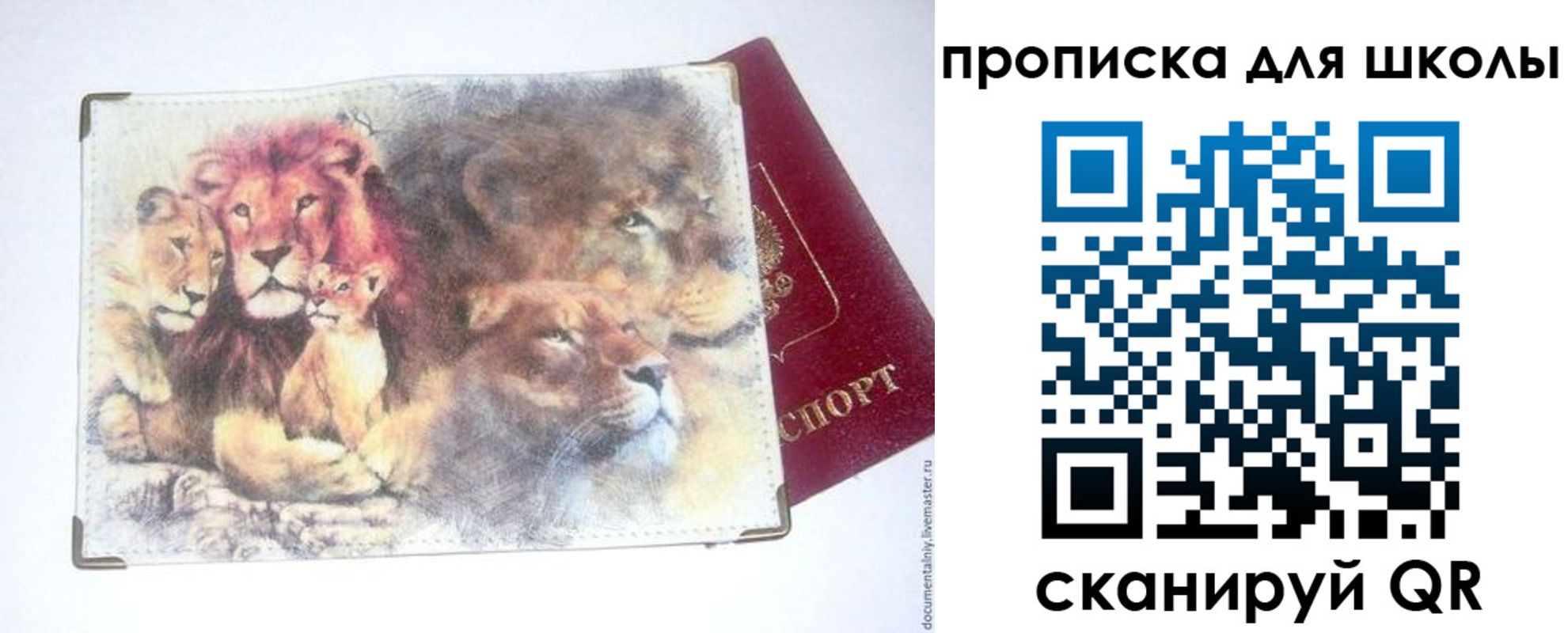 временная регистрация гарантия в Орехово-Зуево